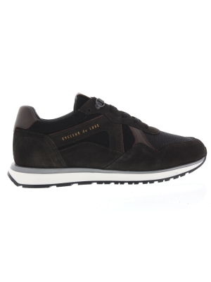 Cycleur de Luxe Cycleur de Luxe campy ash/coffee Cycleur de Luxe Cycleur de Luxe campy ash/coffee
