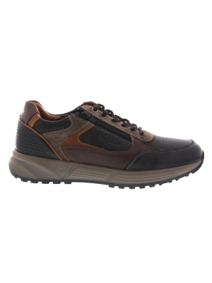Australian Australian hawker black-brown h wijdte