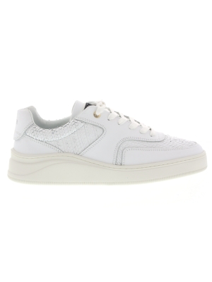 Mercer Amsterdam Mercer Amsterdam lowtop 4.0 gum leather python Mercer Amsterdam Mercer Amsterdam lowtop 4.0 gum leather python