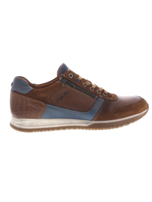Australian Australian browning tan blue Australian Australian browning tan blue