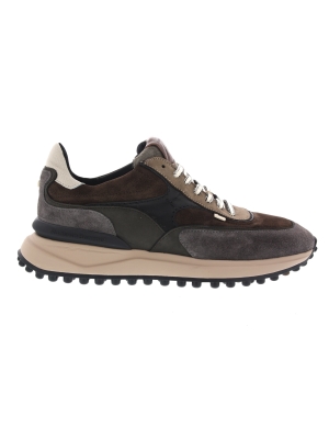 Floris van Bommel Floris van Bommel noppi 37.12 darkbrown