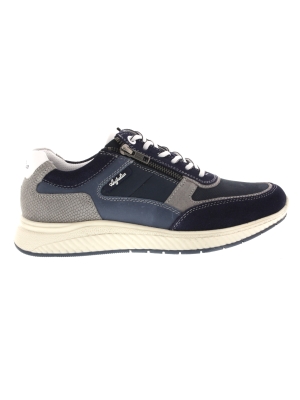 Australian Australian maurizio blue-grey-white Australian Australian maurizio blue-grey-white