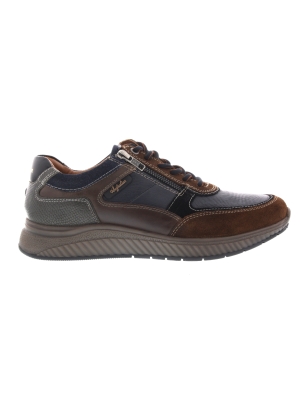 Australian Australian maurizio blue-tan Australian Australian maurizio blue-tan