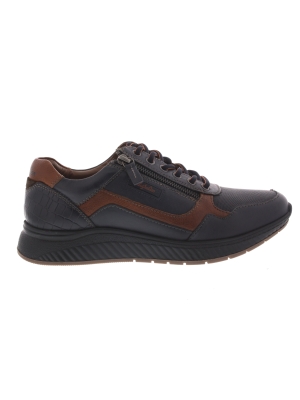 Australian Australian hatchback bleu-tan Australian Australian hatchback bleu-tan