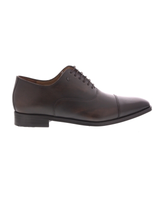 Floris van Bommel Floris van Bommel raffa 02.01 darkbrown Floris van Bommel Floris van Bommel raffa 02.01 darkbrown