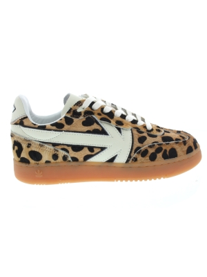Kaotiko Kaotiko boston leopard Kaotiko Kaotiko boston leopard