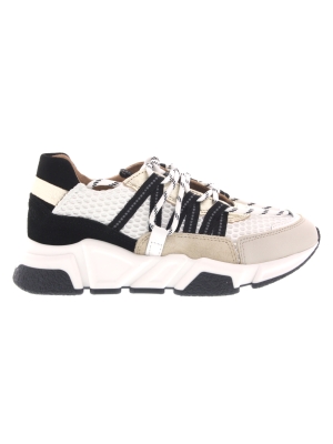 DWRS DWRS los angeles white black DWRS DWRS los angeles white black