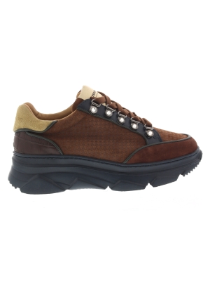 Stokton Stokton 424-d variante brown Stokton Stokton 424-d variante brown