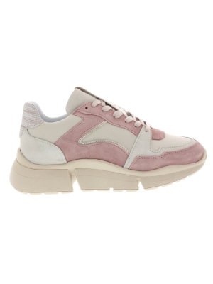 Maruti Maruti cody pink sneaker Maruti Maruti cody pink sneaker