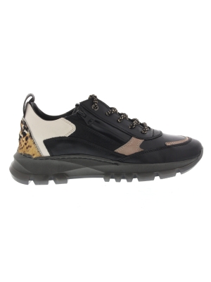DL Sport DL Sport 6055-09 DL Sport DL Sport 6055-09