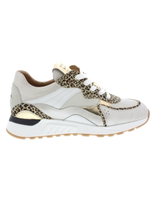 Piedi Nudi Piedi Nudi nova 11.30 h fit leopardo Piedi Nudi Piedi Nudi nova 11.30 h fit leopardo
