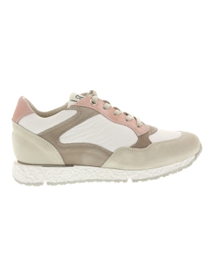 DL Sport DL Sport 5245 versione 01 DL Sport DL Sport 5245 versione 01