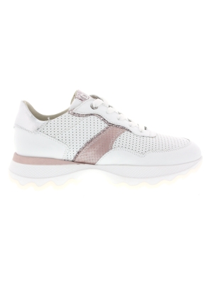DL Sport DL Sport 6244-01 DL Sport DL Sport 6244-01