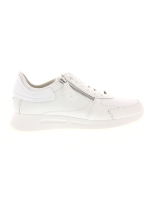 DL Sport DL Sport 6202-04 DL Sport DL Sport 6202-04