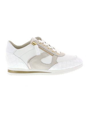 DL Sport DL Sport 6251-01 DL Sport DL Sport 6251-01