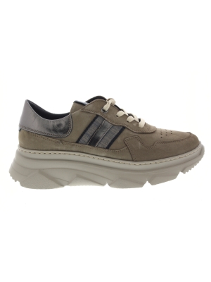 DL Sport DL Sport 4894-03 tartufo DL Sport DL Sport 4894-03 tartufo
