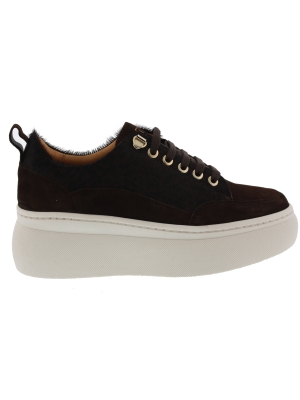 Cycleur de Luxe Cycleur de Luxe cali Cycleur de Luxe Cycleur de Luxe cali