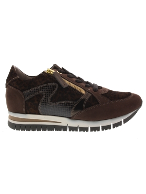DL Sport DL Sport 6726 versione 05 nut DL Sport DL Sport 6726 versione 05 nut