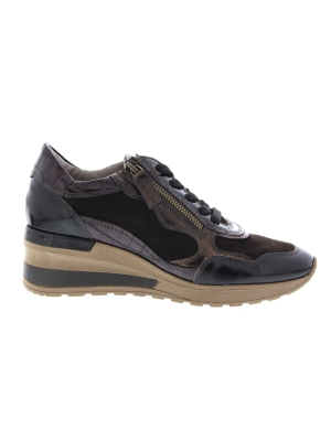 DL Sport DL Sport 7164 versione 0c