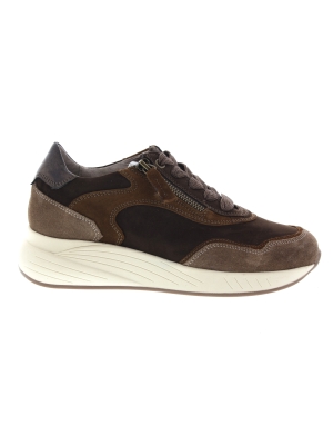 DL Sport DL Sport 7130hk versione 01