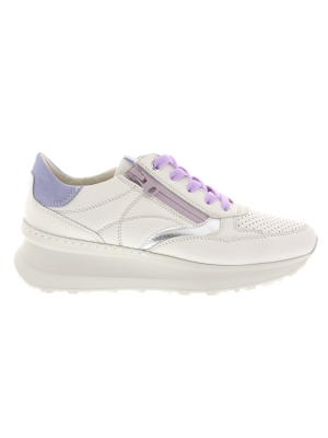 DL Sport DL Sport 5651-02 logic burro DL Sport DL Sport 5651-02 logic burro