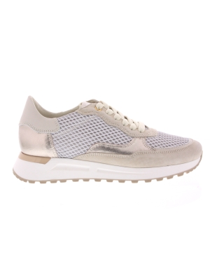 DL Sport DL Sport 6235-01 DL Sport DL Sport 6235-01
