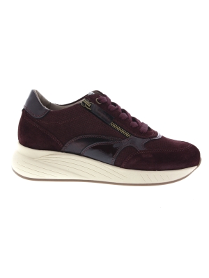 DL Sport DL Sport 7131hk versione 01