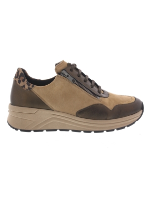 Solidus Solidus 46020-30567 holly Solidus Solidus 46020-30567 holly