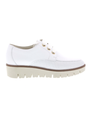 DL Sport DL Sport 6271-05 DL Sport DL Sport 6271-05