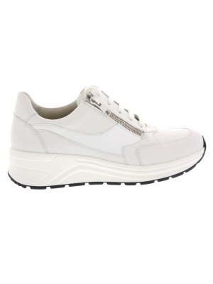 Solidus Solidus holly 46023-10066 Solidus Solidus holly 46023-10066