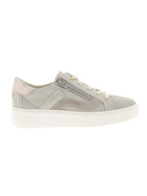 DL Sport DL Sport 6208-03 DL Sport DL Sport 6208-03