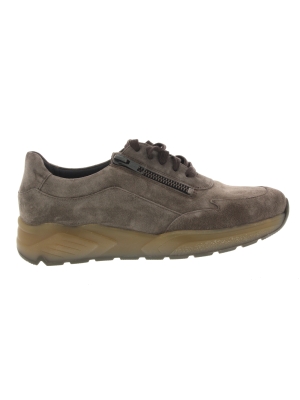 Solidus Solidus 53002-40433 hills Solidus Solidus 53002-40433 hills
