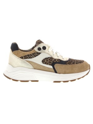 Xsensible Xsensible ponte vecchio camel combi g