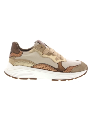 Xsensible Xsensible rainbow camel combigx