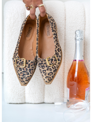 DWRS DWRS port vila leopard DWRS DWRS port vila leopard