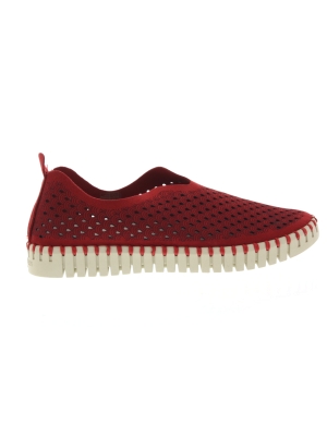 Ilse Jacobsen Ilse Jacobsen tulip deep red Ilse Jacobsen Ilse Jacobsen tulip deep red