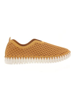 Ilse Jacobsen Ilse Jacobsen tulip 3275 golden nugget Ilse Jacobsen Ilse Jacobsen tulip 3275 golden nugget