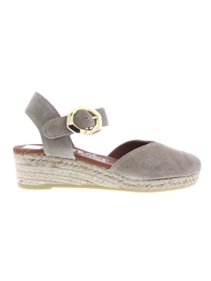 Viguera Viguera 2319 desert