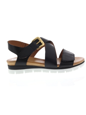 Aqa Aqa a8751 black Aqa Aqa a8751 black