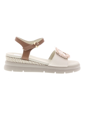 DL Sport DL Sport 7043-01 dore osso