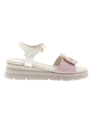 DL Sport DL Sport 7043-03 dore antico