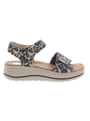 Hartjes Hartjes woogie leo