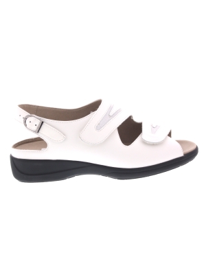 Solidus Solidus lia weiss 73043 Solidus Solidus lia weiss 73043