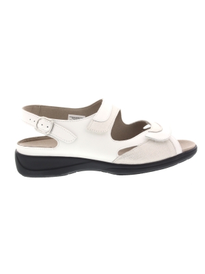Solidus Solidus lia 73094-10166 h Solidus Solidus lia 73094-10166 h