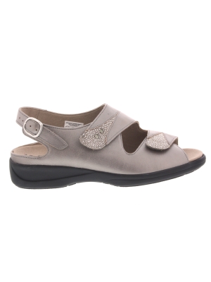 Solidus Solidus lia 73104-40448 Solidus Solidus lia 73104-40448
