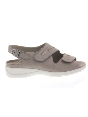 Solidus Solidus lia nebula funky 73043-40564 Solidus Solidus lia nebula funky 73043-40564