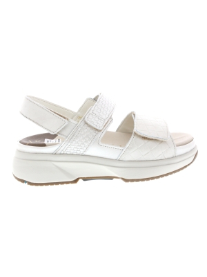 Xsensible Xsensible aruba soft pearl g-h Xsensible Xsensible aruba soft pearl g-h