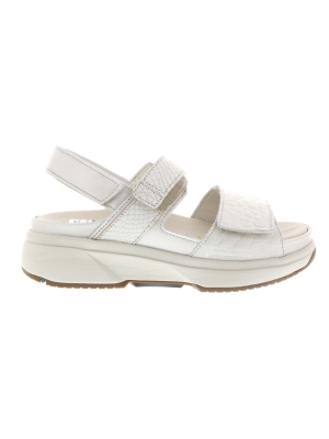 Xsensible Xsensible aruba soft pearl combi g-h