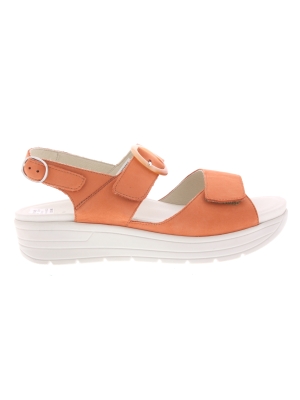 Solidus Solidus greta aperol 48022-50278 Solidus Solidus greta aperol 48022-50278