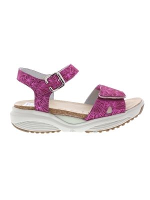 Xsensible Xsensible skala magenta h Xsensible Xsensible skala magenta h